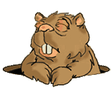 beaver-animated