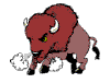 bison_m.gif