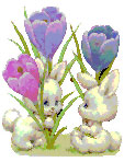 bunnies flowers