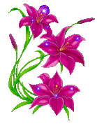 purple flower animated