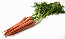 carrot clipart