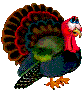 thanksgiving turkey animated