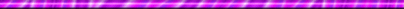 purple horizontal line