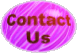 contact us button