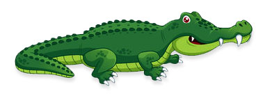 alligator