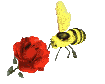 bee and flower animated