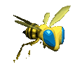 flying bee animated