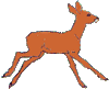 animated deer running