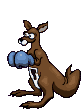 kangaroo animated