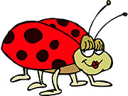 ladybug