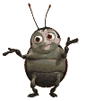 Free Animated Animal Gifs - Animal Animations Free Animated Animal Gifs - Animal Animations