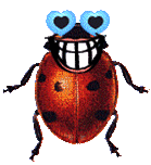 ladybug smile