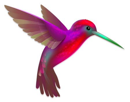 hummingbird