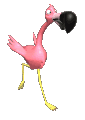 running flamingo