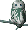 owl on perch
