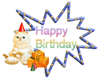 Happy Birthday cat