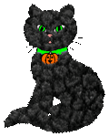 halloween black cat