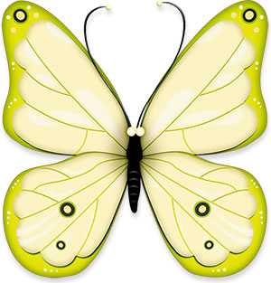 yellow butterfly