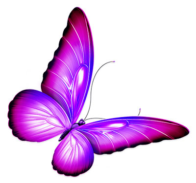 butterfly purple