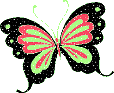butterfly glitter