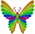 butterfly animation