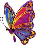 butterfly glitter animation