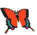orange butterfly animation