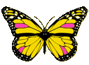 yellow animated butterfly