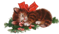 Christmas kitten