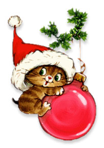 Santa cat