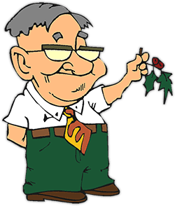 man with mistletoe