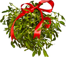 mistletoe with ribbon