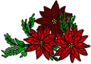 Poinsettias