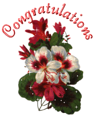 congratulations flowers glitter