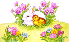flowers, bunny chick