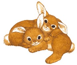 two bunnies