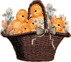 basket full of flowers and chicks