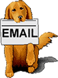 email me dog