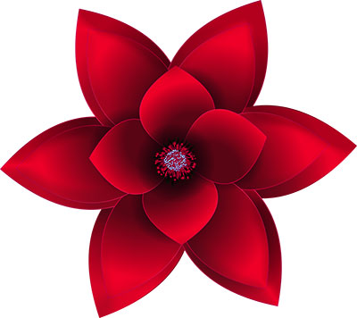 red flower