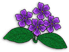 african violet clipart