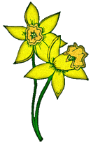 transparent version of buttercups