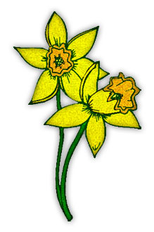 Buttercup flower