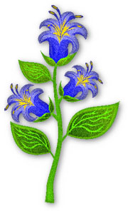 bellflower green, blue and yellow