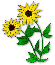 black-eyed susan flower clipart