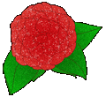 animated flower transparent gif file