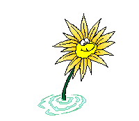 happy yellow flower