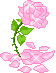 animated pink rose