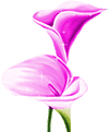 purple flower with animation