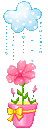raining on flower