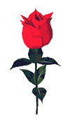 animated red rose